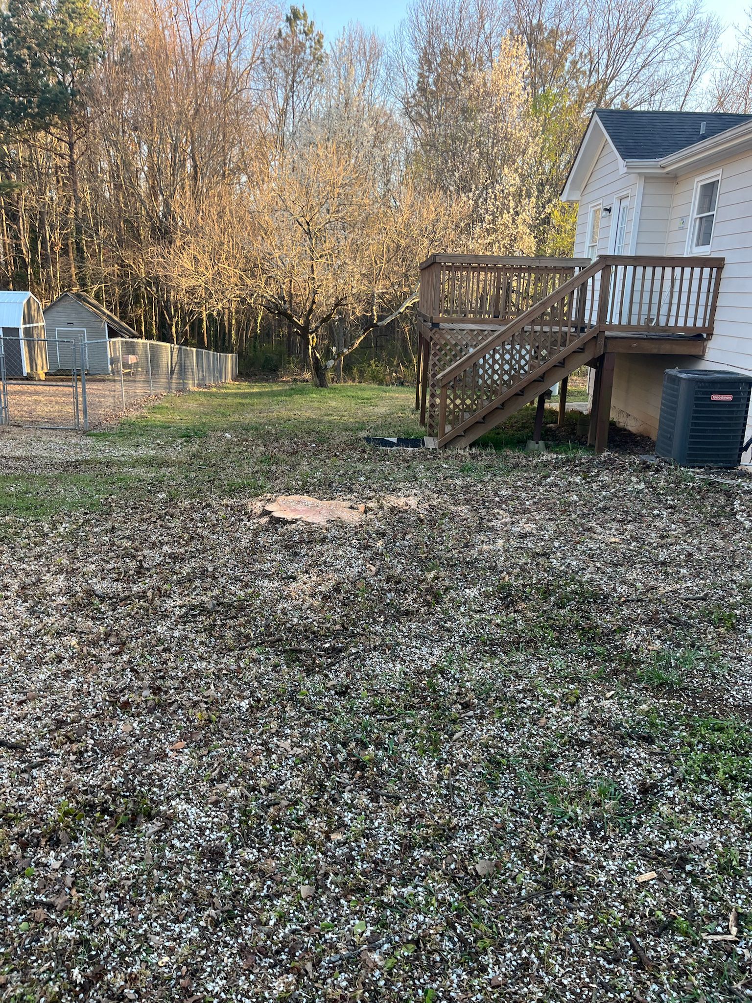 Mojave desert in the dark