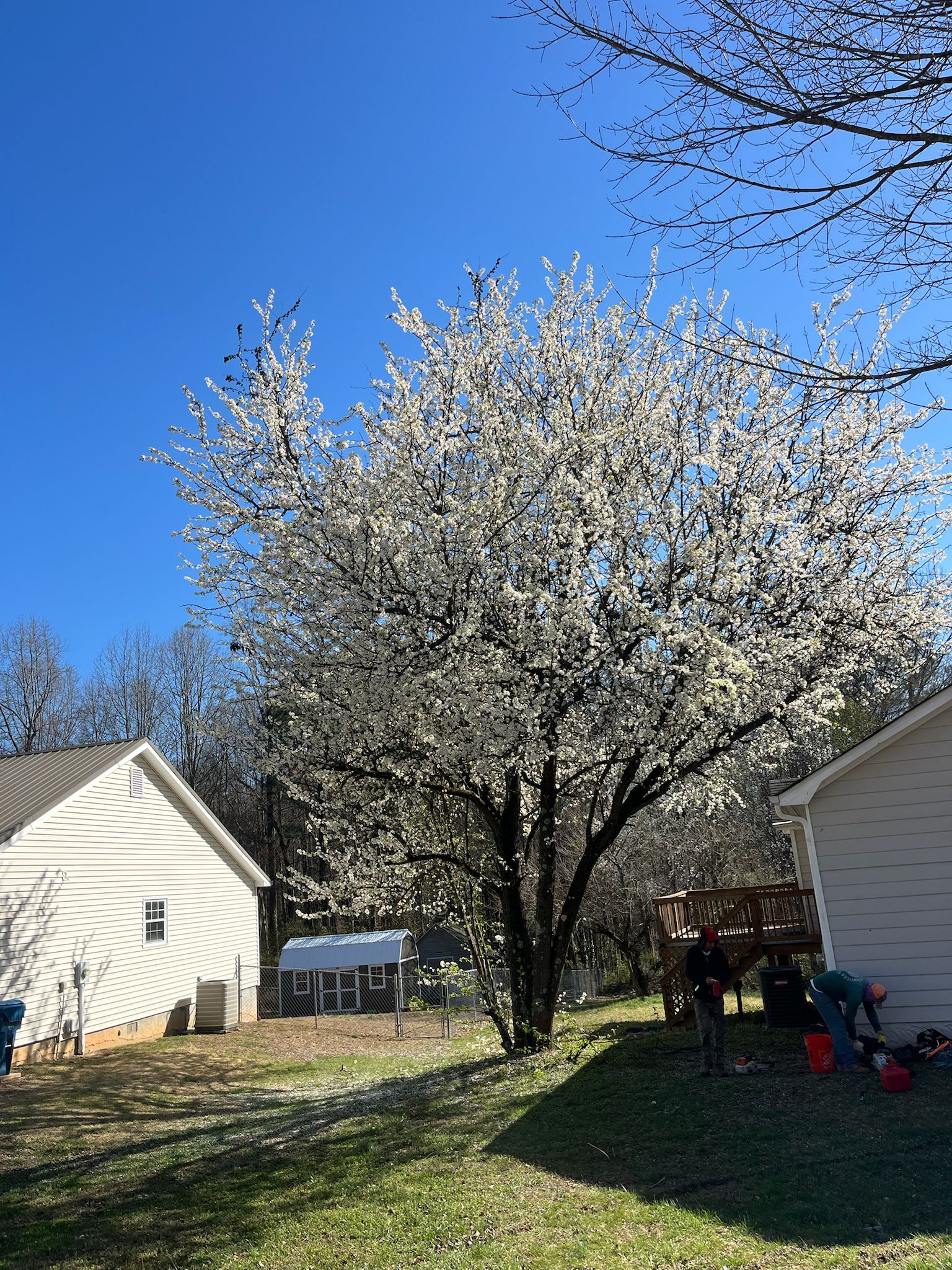 Mojave desert in the sun